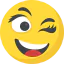 Wink Ikona 64x64