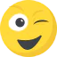 Wink Ikona 64x64