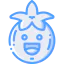 Tomato icon 64x64