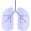 Lungs アイコン 64x64