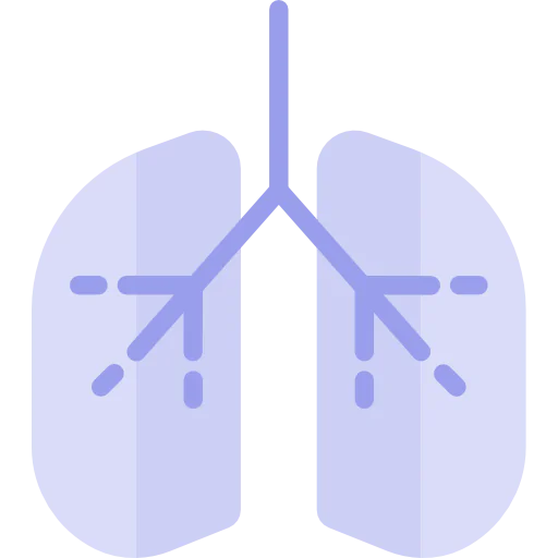 Lungs icon