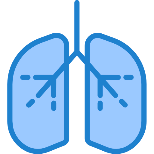 Lungs icon