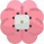 Brain icon 64x64
