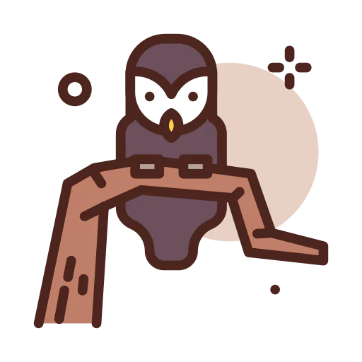 Owl icon