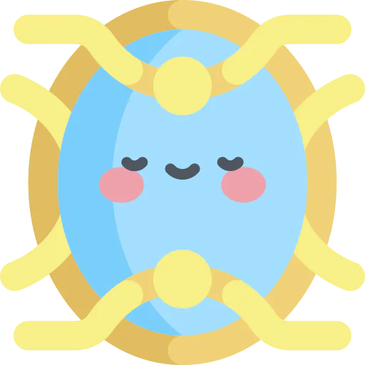 Magic mirror icon