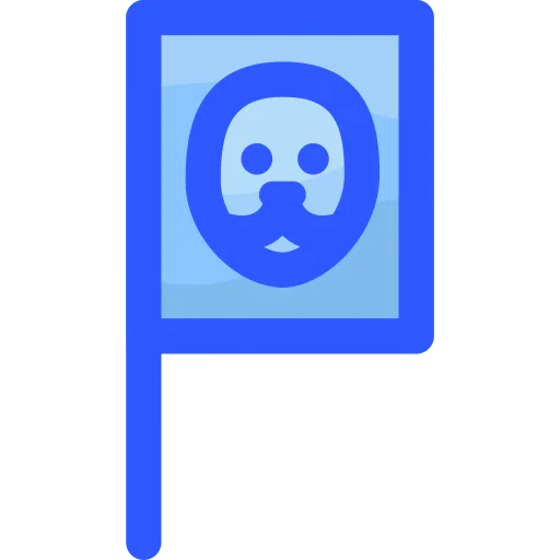 Flag icon