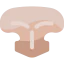 Mask icon 64x64