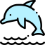Dolphin icon 64x64