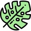 Leaf icon 64x64