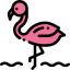Flamingo icon 64x64