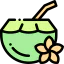 Coconut icon 64x64