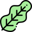 Leaf icon 64x64