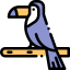 Toucan icon 64x64