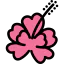 Hibiscus icon 64x64
