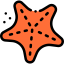 Starfish icon 64x64