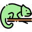 Chameleon icon 64x64