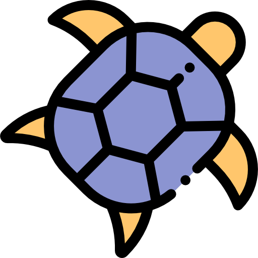 Turtle icon