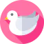 Dove icon 64x64