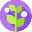 Branch icon 64x64