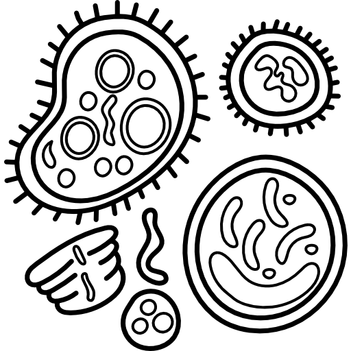 Bacteria icon