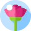 Rose icon 64x64