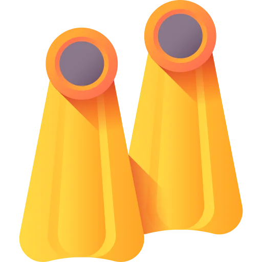 Flippers icon