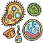 Bacteria icon 64x64