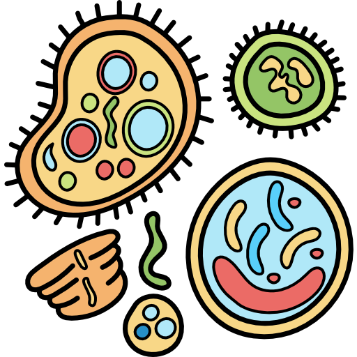 Bacteria icon