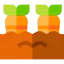 Carrot icon 64x64