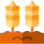 Wheat icon 64x64