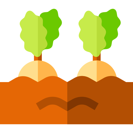 Onion icon
