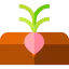Radish icon 64x64