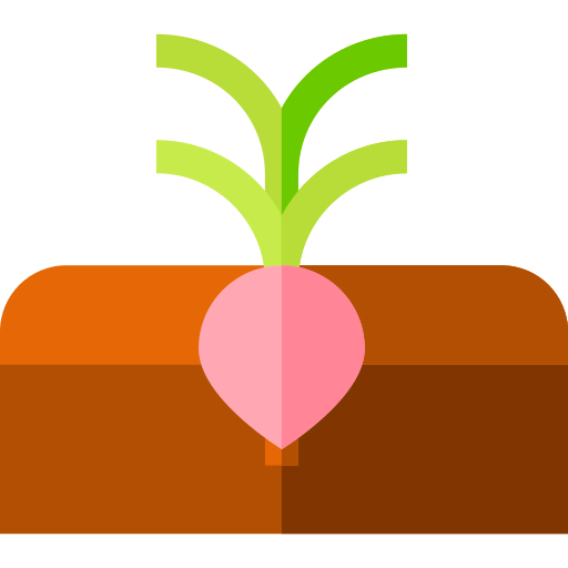 Radish icon