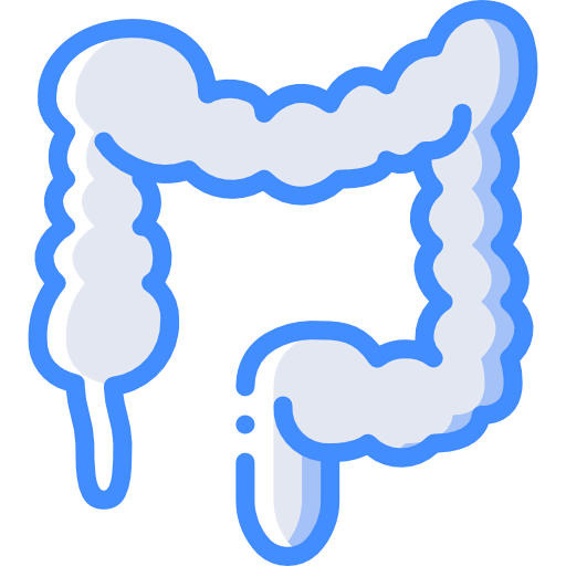 Colon icon
