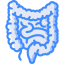 Intestines icon 64x64
