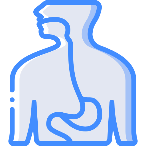 Esophagus 상