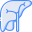 Liver 图标 64x64