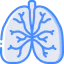 Lungs 图标 64x64