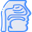 Nasal 图标 64x64