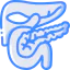 Pancreas 图标 64x64