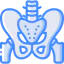 Pelvis 图标 64x64