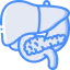 Liver 图标 64x64