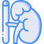 Adrenal gland 图标 64x64