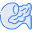 Pancreas 图标 64x64