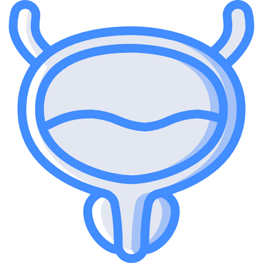 Bladder icon