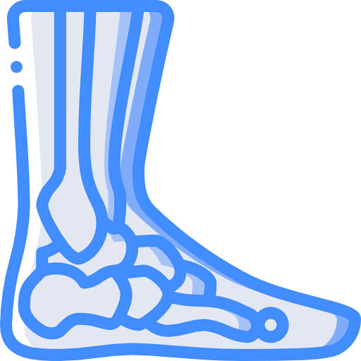 Ankle icon
