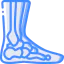 Ankle 图标 64x64