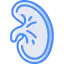 Kidney 图标 64x64