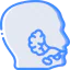 Salivary glands 图标 64x64