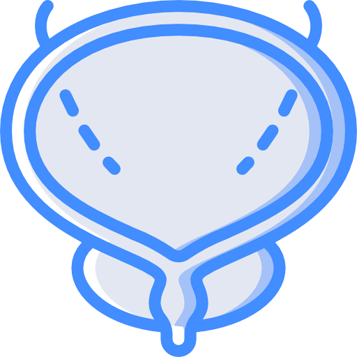Bladder icon